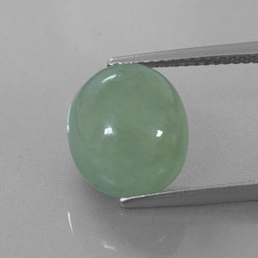 Jadeíta verde natural de 6,83 ct, corte óvalo, translúcido