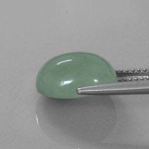 Jadeíta verde natural de 6,83 ct, corte óvalo, translúcido