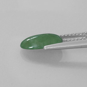 Jadeíta verde natural de 1,56 ct, corte óvalo, translúcido