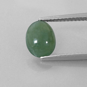 Jadeíta Verde natural de 1.51 ct, Corte Óvalo, Translúcido