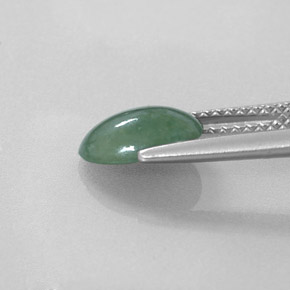 Jadeíta Verde natural de 1.51 ct, Corte Óvalo, Translúcido