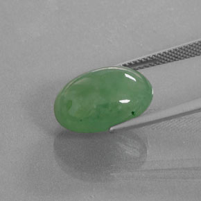 Jadeíta Verde natural de 9.39 ct, Corte Óvalo, Translúcido