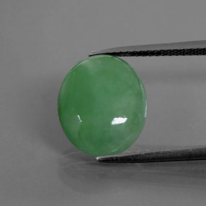 Jadeíta verde natural de 6,55 ct, corte óvalo, translúcido