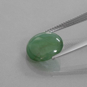 Jadeíta verde natural de 5,27 ct, corte redondo, transparente