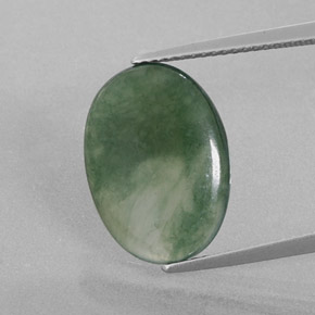 Jadeíta verde natural de 5,69 ct, corte óvalo, transparente