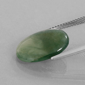 Jadeíta verde natural de 5,69 ct, corte óvalo, transparente