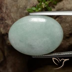Jadeíta Verde gris musgoso natural de 16.50 ct, Ovalada, Translúcido