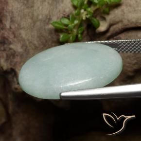 Jadeíta Verde gris musgoso natural de 16.50 ct, Ovalada, Translúcido
