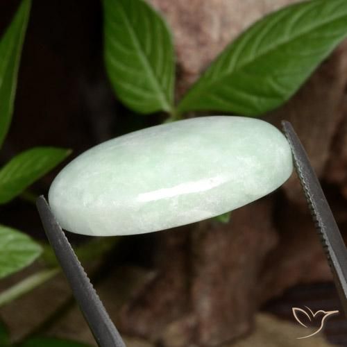 Jadeíta Verde claro natural de 27.82 ct, Ovalada, Opaco