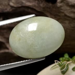 Jadeíta Verde grisáceo natural de 12.58 ct, Ovalada, Translúcido