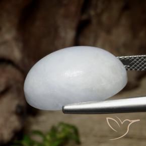 Jadeíta Blanco grisáceo natural de 18.41 ct, Ovalada, Translúcido