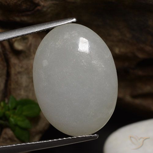 12.37ct Natural Verde medio Jadeíta, Ovalada, Translúcido