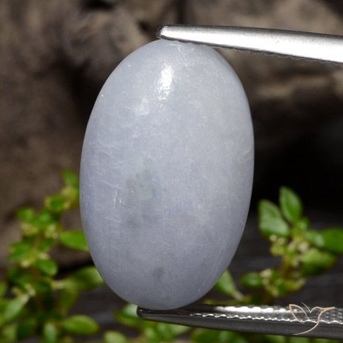 12.71ct Natural Verde claro Jadeíta, Ovalada, Opaco