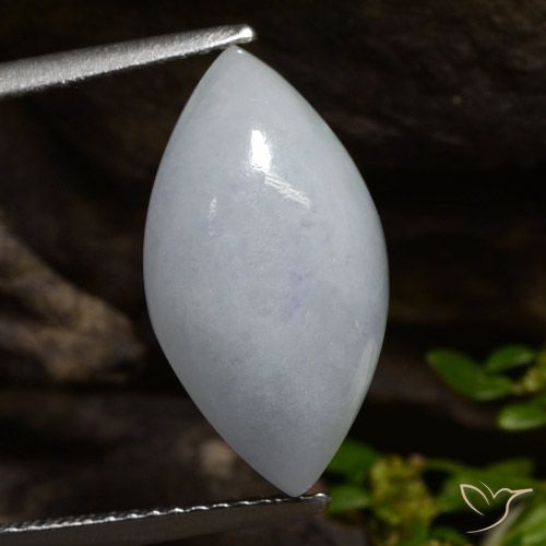 6.90ct Natural Verde claro Jadeíta, Marquesa, Translúcido