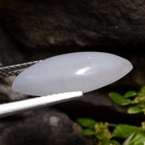 Jadeíta gris natural de 5,21 ct, marquesa, translúcido