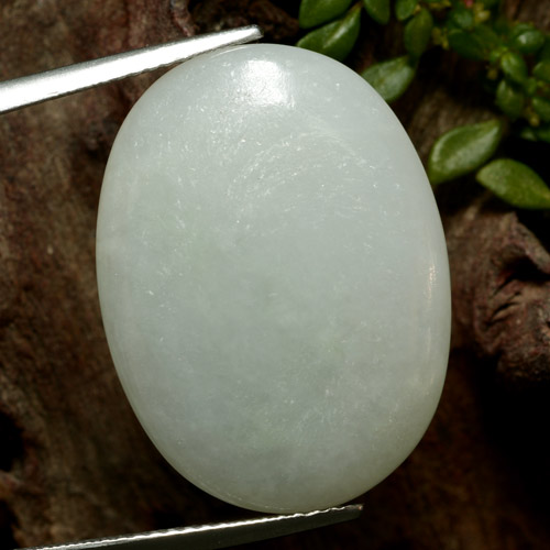 Jadeíta verde natural de 24,22 ct, corte óvalo, translúcido