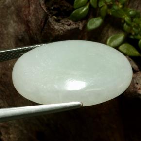 Jadeíta verde natural de 24,22 ct, corte óvalo, translúcido