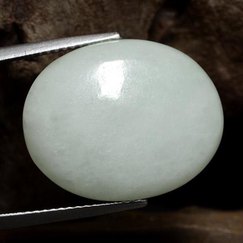 Jadeíta Blanco verdoso natural de 16.55 ct, Corte Óvalo, Opaco