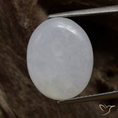 7.87ct Natural Verde medio Jadeíta, Ovalada, Translúcido