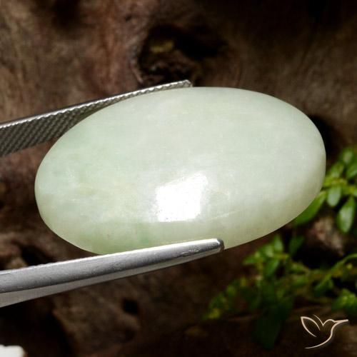 Jadeíta Verde Oliva natural de 42.61 ct, Ovalada, Translúcido
