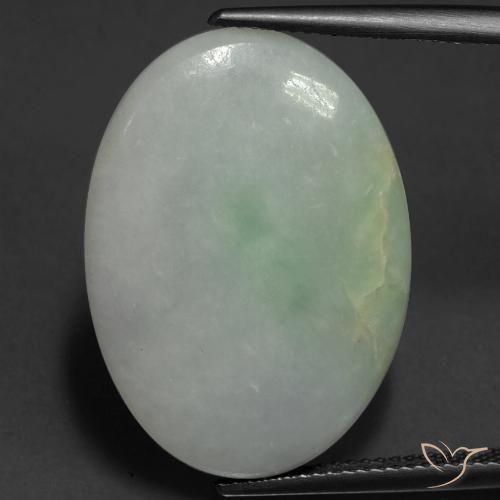 Jadeíta Verde gris natural de 22.43 ct, Ovalada, Translúcido