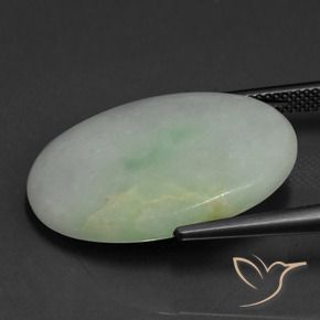 Jadeíta Verde gris natural de 22.43 ct, Ovalada, Translúcido