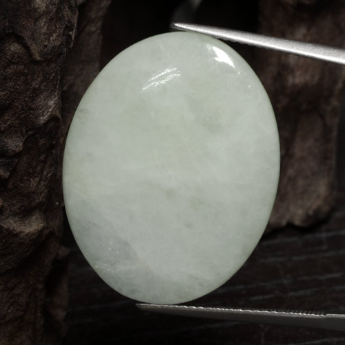 Jadeíta verde natural de 24,59 ct, corte óvalo, translúcido