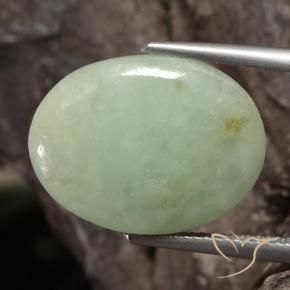 Jadeíta Verde gris natural de 12.72 ct, Ovalada, Translúcido