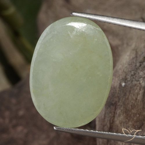 Jadeíta Verde medio natural de 11.65 ct, Ovalada, Translúcido