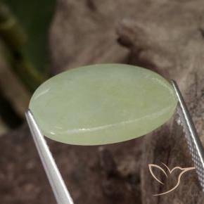 Jadeíta Verde medio natural de 11.65 ct, Ovalada, Translúcido