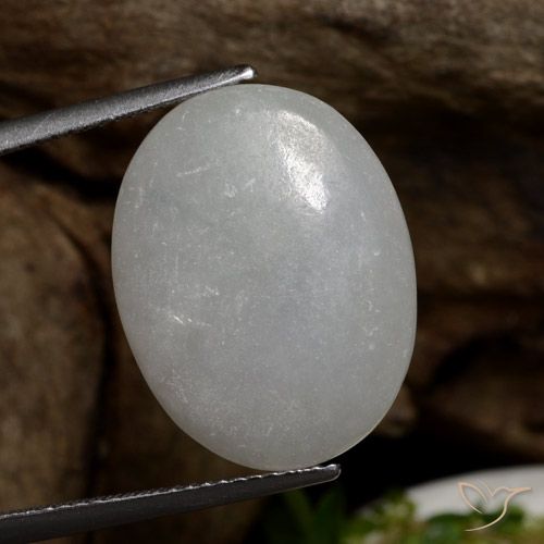 13.33ct Natural Verde medio Jadeíta, Ovalada, Translúcido