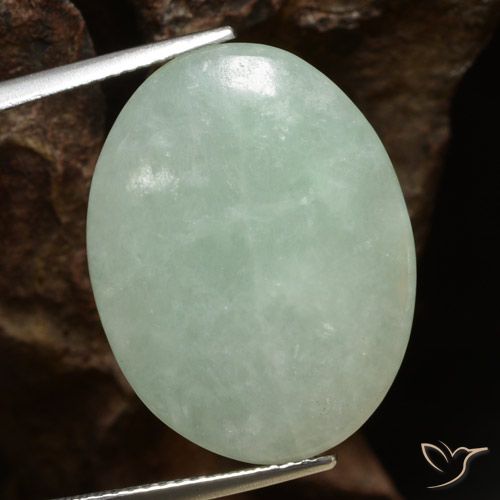 Jadeíta verde natural de 16,53 ct, corte óvalo, translúcido