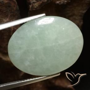 Jadeíta verde natural de 16,53 ct, corte óvalo, translúcido
