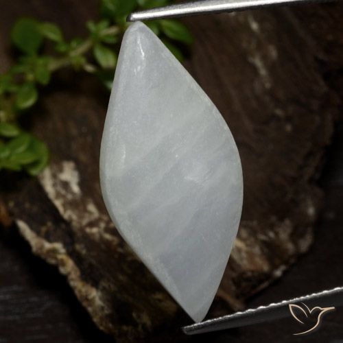 6.74ct Natural Blanco grisáceo Jadeíta, Marquesa, Translúcido