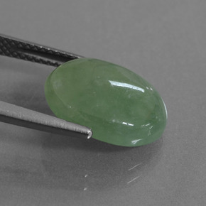 Jadeíta Verde natural de 5.96 ct, Corte Óvalo, Translúcido