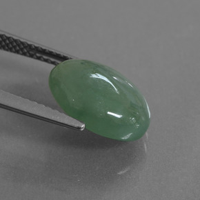 Jadeíta verde natural de 5,60 ct, corte óvalo, translúcido