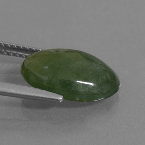 Jadeíta Verde natural de 4.63 ct, Corte Óvalo, Translúcido