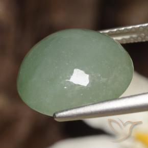 Jadeíta Verde claro natural de 7.82 ct, Redondo, Translúcido