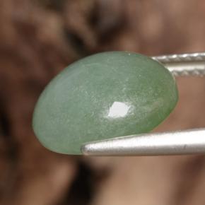 Jadeíta verde natural de 6,35 ct, corte redondo, translúcido