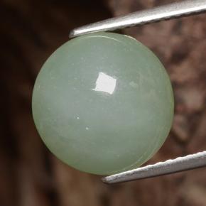 Jadeíta verde natural de 6,81 ct, corte redondo, translúcido