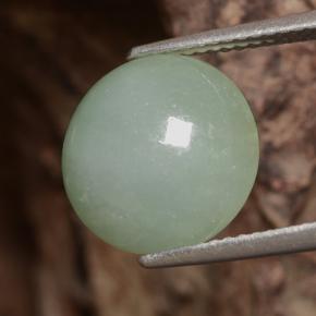 Jadeíta verde natural de 6,81 ct, corte redondo, translúcido