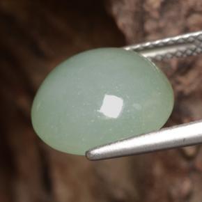 Jadeíta verde natural de 6,81 ct, corte redondo, translúcido