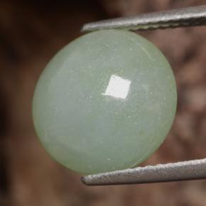 Jadeíta verde natural de 6,29 ct, corte redondo, translúcido