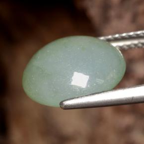 Jadeíta verde natural de 6,29 ct, corte redondo, translúcido