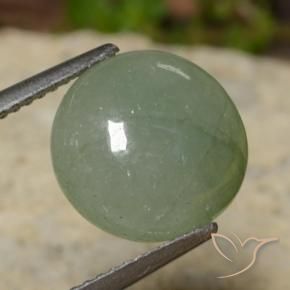 Jadeíta Verde cálido natural de 5.81 ct, Redondo, Translúcido