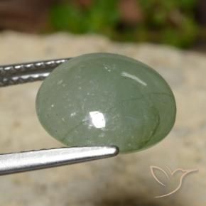 Jadeíta Verde cálido natural de 5.81 ct, Redondo, Translúcido