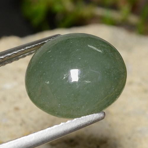 Jadeíta Verde pino pálido natural de 7.03 ct, Corte Redondo, Translúcido