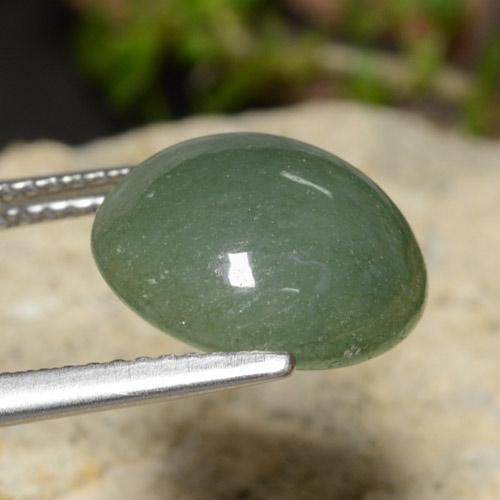 Jadeíta Verde pino pálido natural de 7.03 ct, Corte Redondo, Translúcido