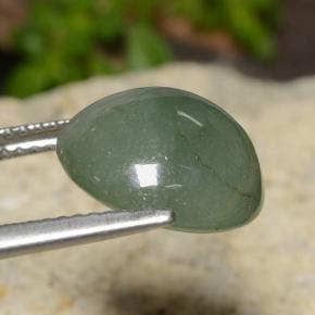 Jadeíta Verde pino pálido natural de 7.20 ct, Corte Redondo, Translúcido