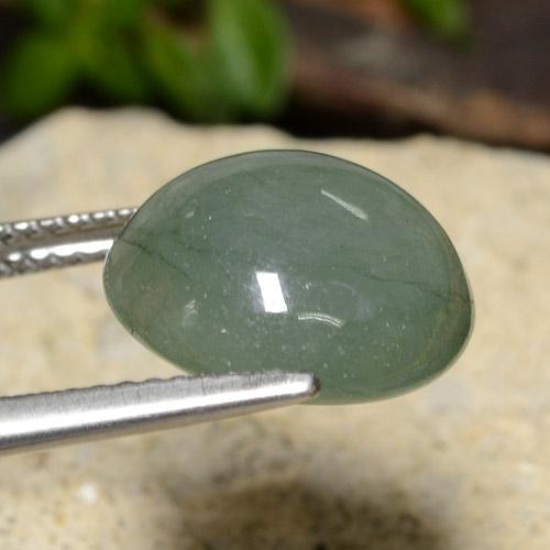 Jadeíta Medium Light Green natural de 7.62 ct, Corte Redondo, Translúcido